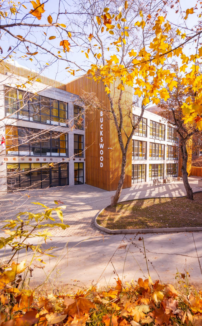 განვითარების ერთწლიანი სამოქმედო გეგმა